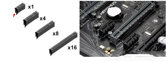 1741830599205448.jpg 363.jpg